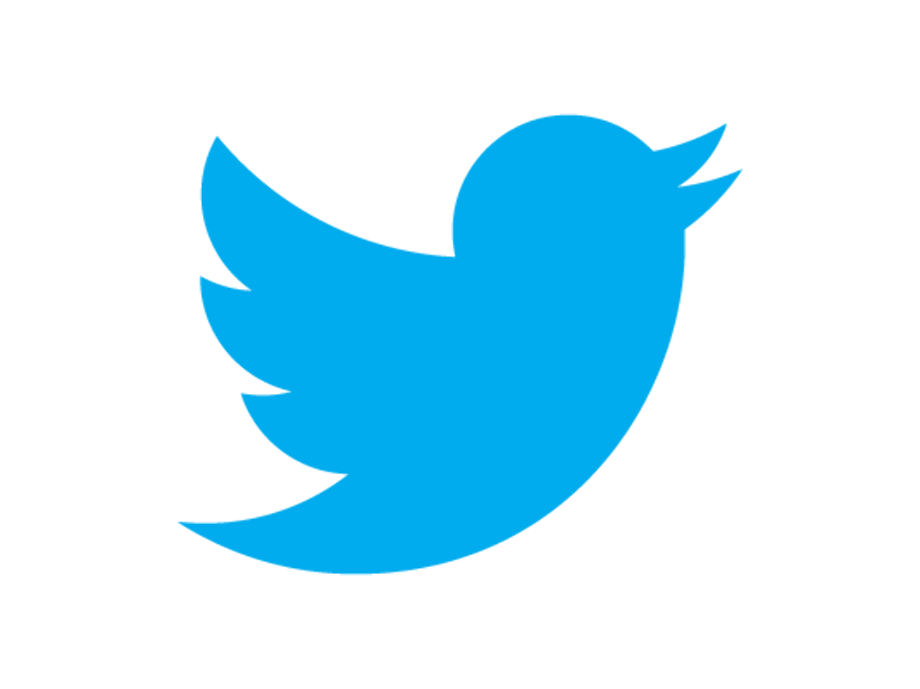 bird logo blue