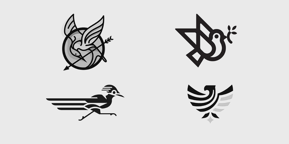 bird logo creative