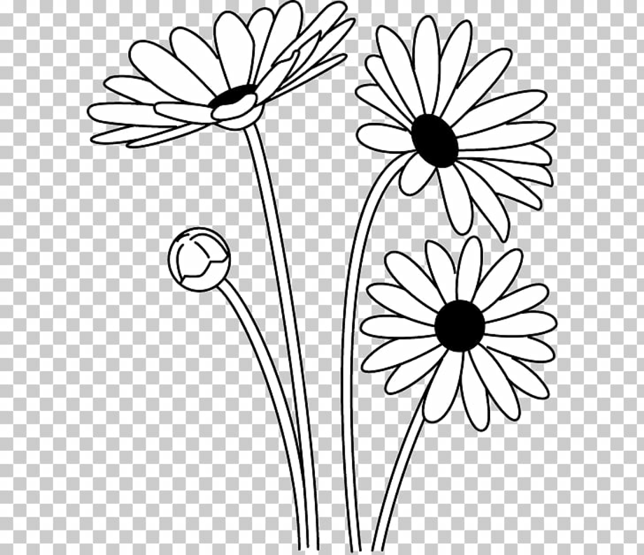Download High Quality black and white flower clipart daisy
