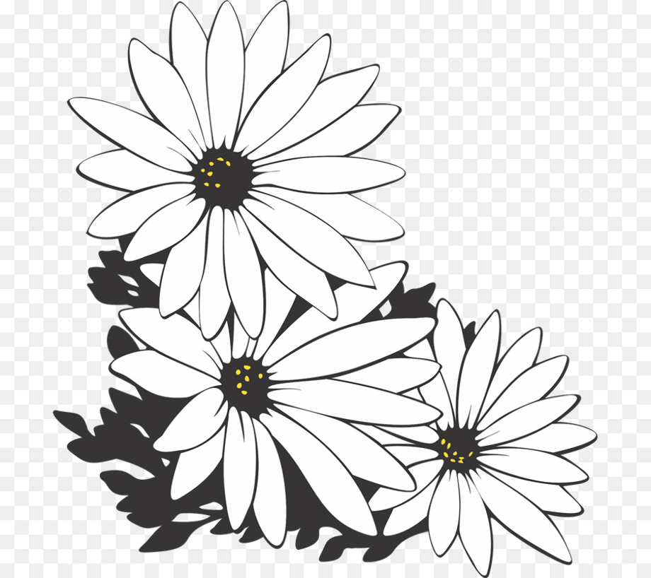 Download High Quality black and white flower clipart daisy Transparent