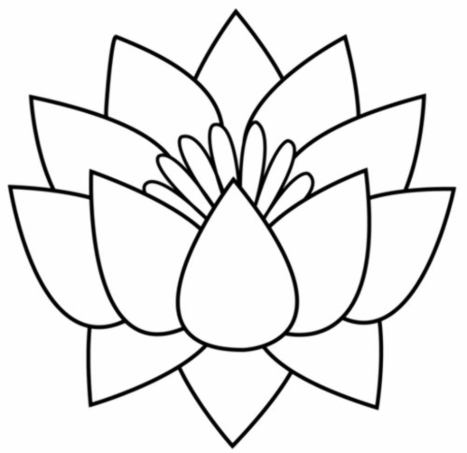 black and white flower clipart lotus