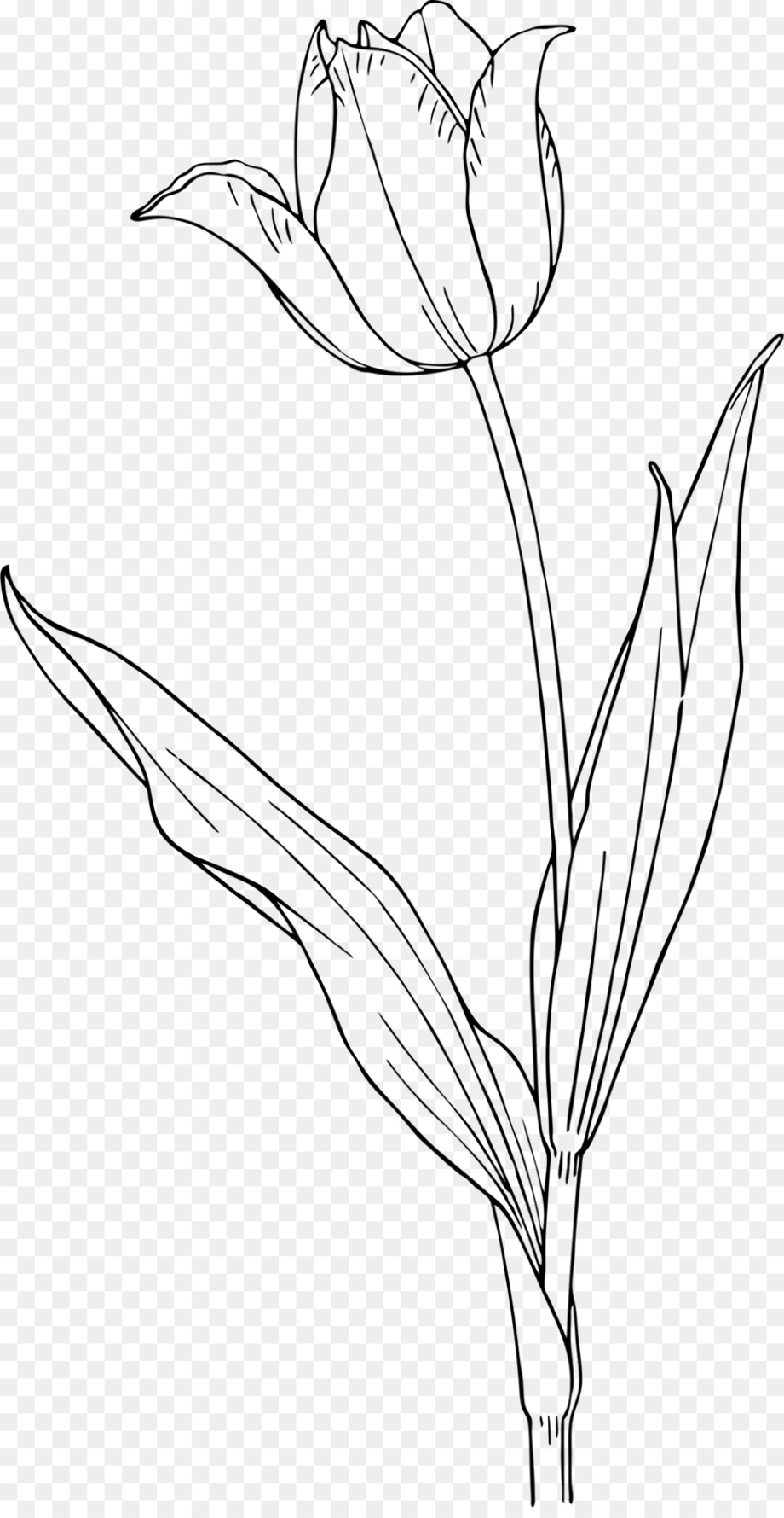 Download High Quality black and white flower clipart tulip Transparent