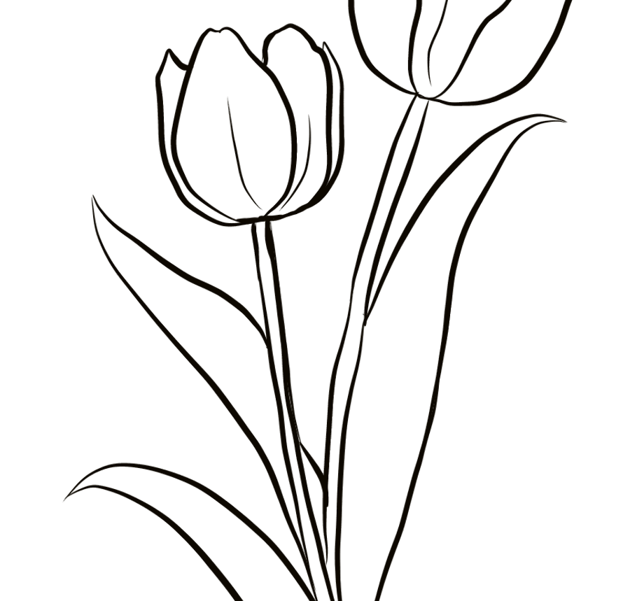 Download High Quality black and white flower clipart tulip Transparent ...