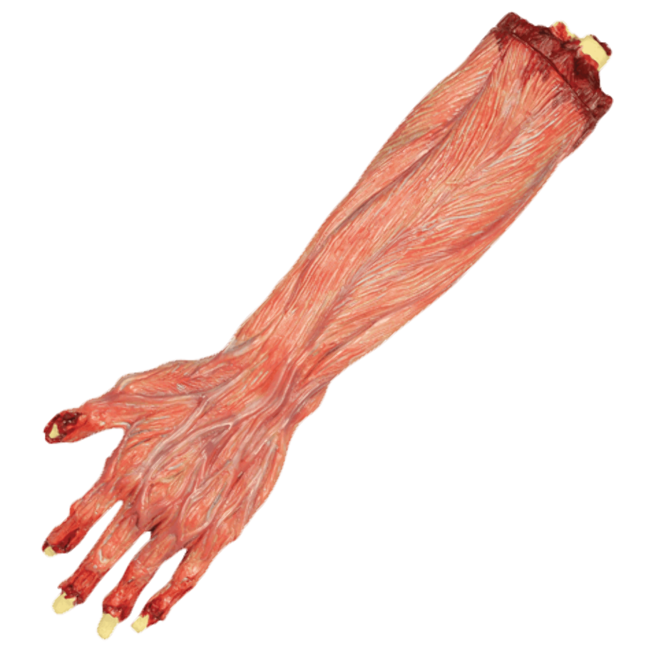 Blood transparent arm