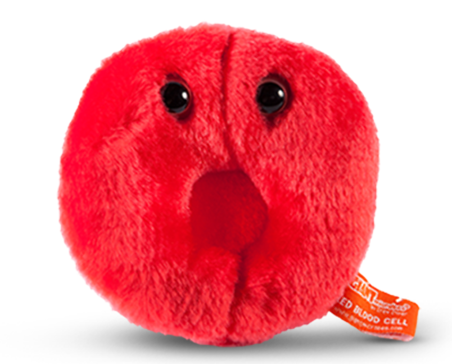 blood transparent science