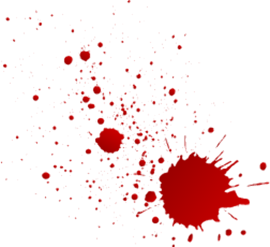 Blood transparent spot. The ultimate broadhead wasp