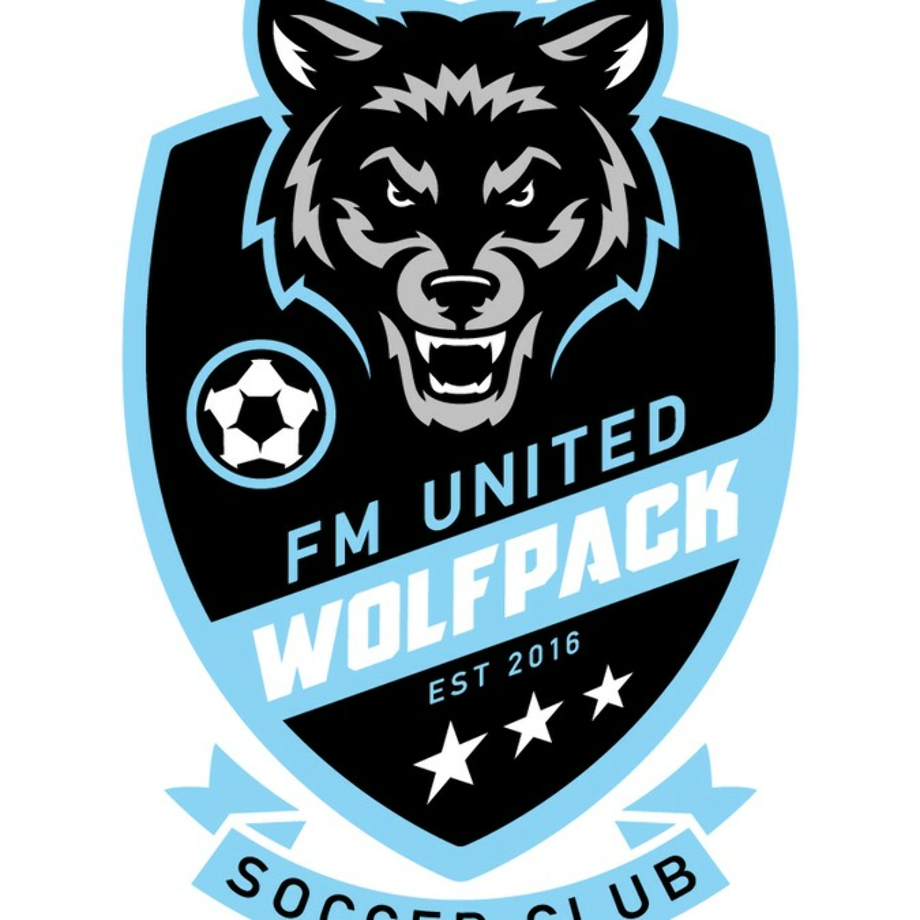 blue logo soccer