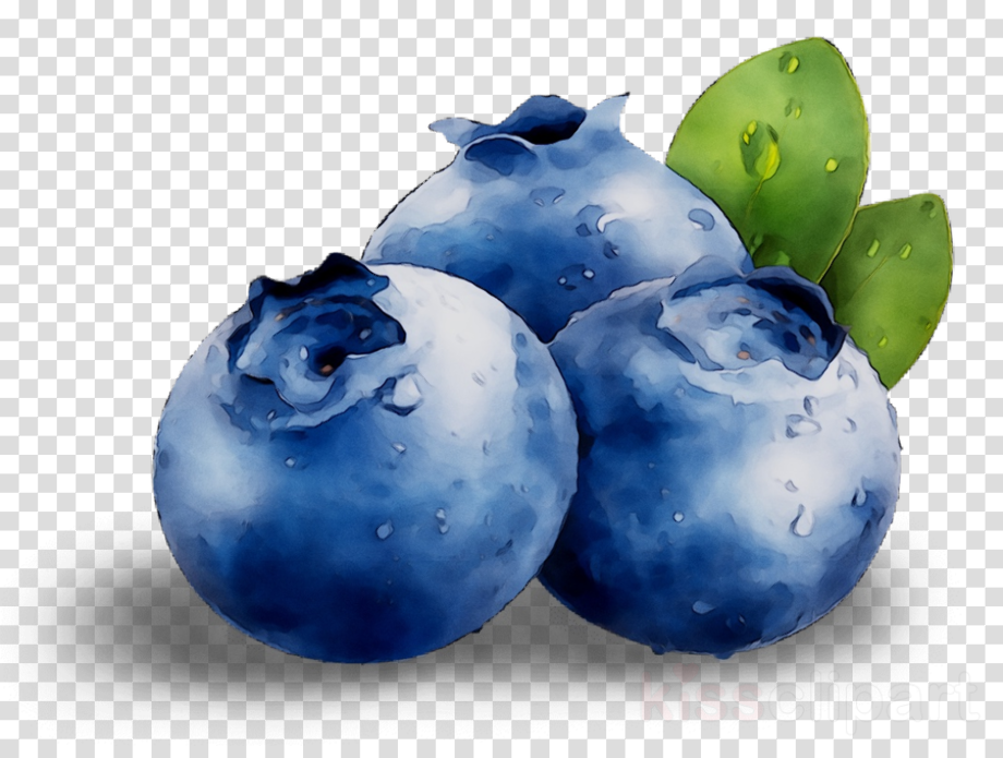 Download High Quality blueberry clipart Transparent PNG Images - Art