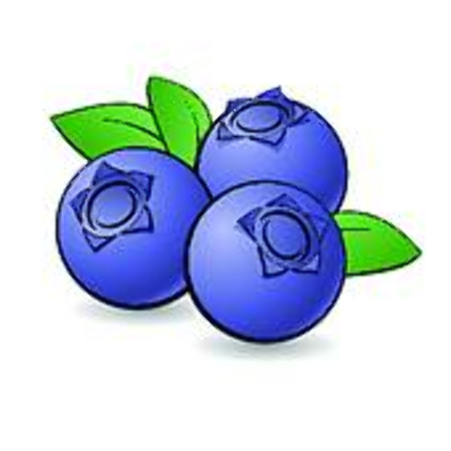 Download High Quality blueberry clipart adorable Transparent PNG Images ...