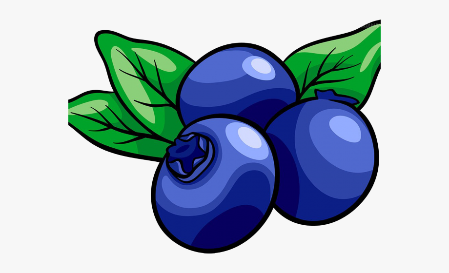 Download High Quality blueberry clipart blue Transparent PNG Images