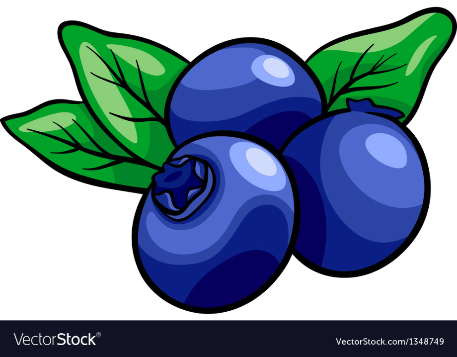 Download High Quality blueberry clipart cartoon Transparent PNG Images