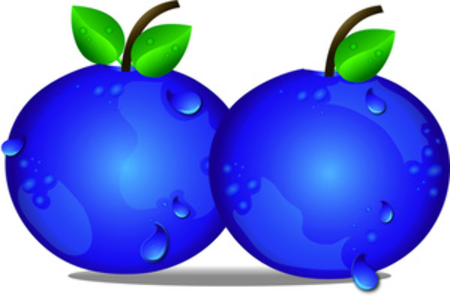 blueberry clipart cute