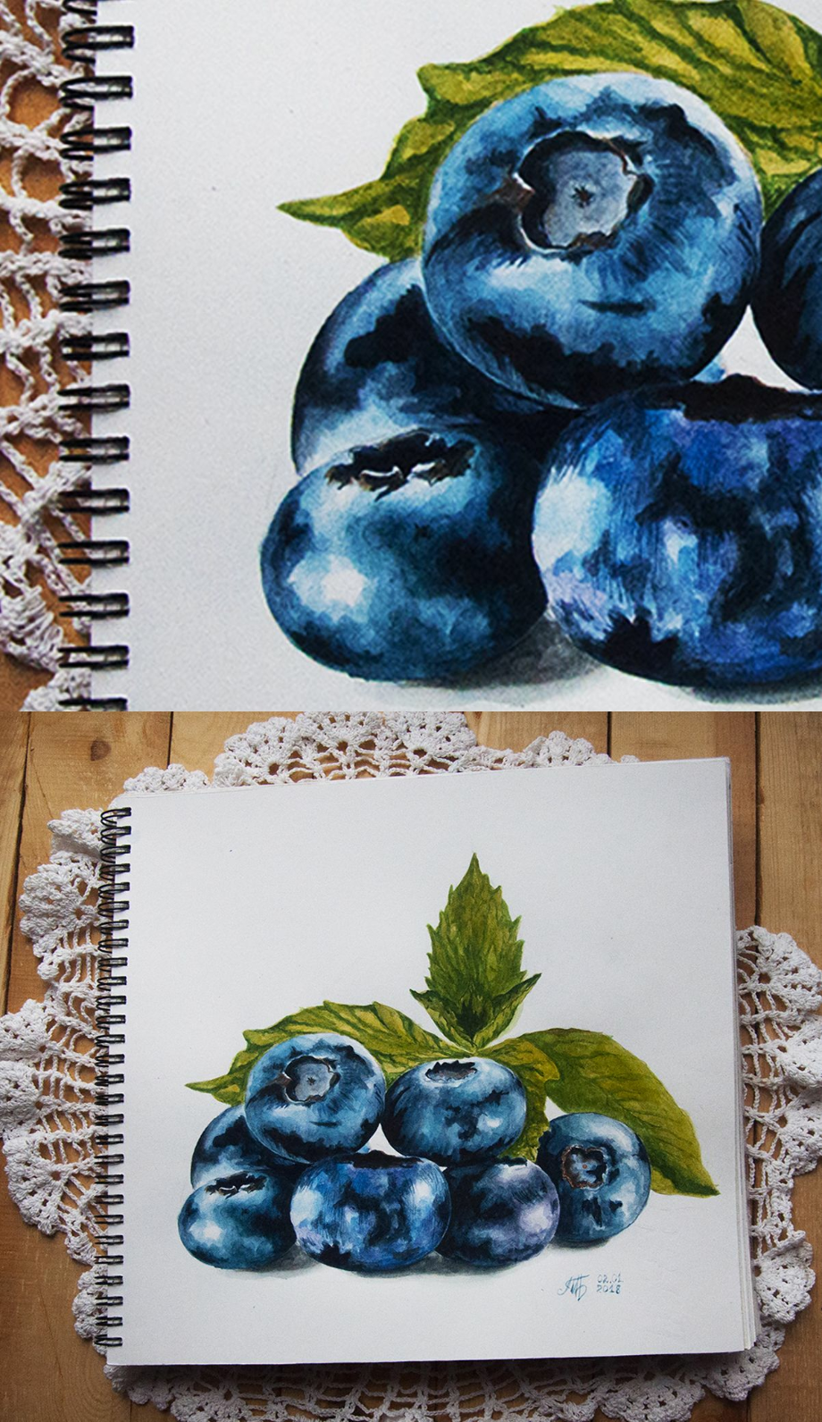 blueberry clipart watercolor
