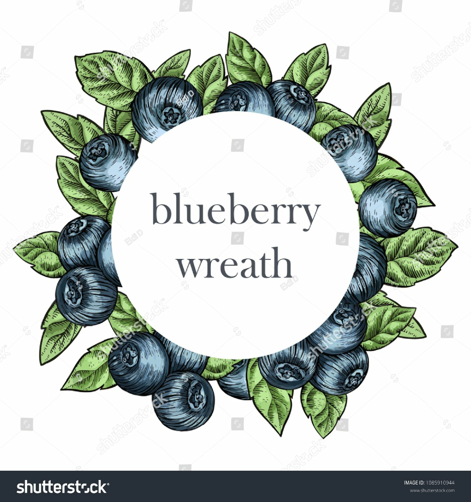 Blueberry clipart shutterstock. Hand drawing wreath background