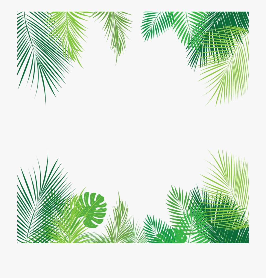 Download High Quality border transparent tropical Transparent PNG