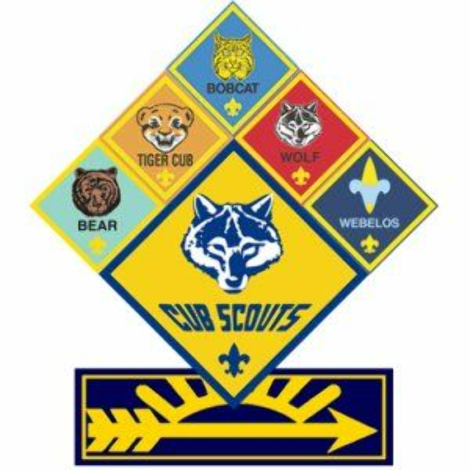 Boy scouts logo tiger