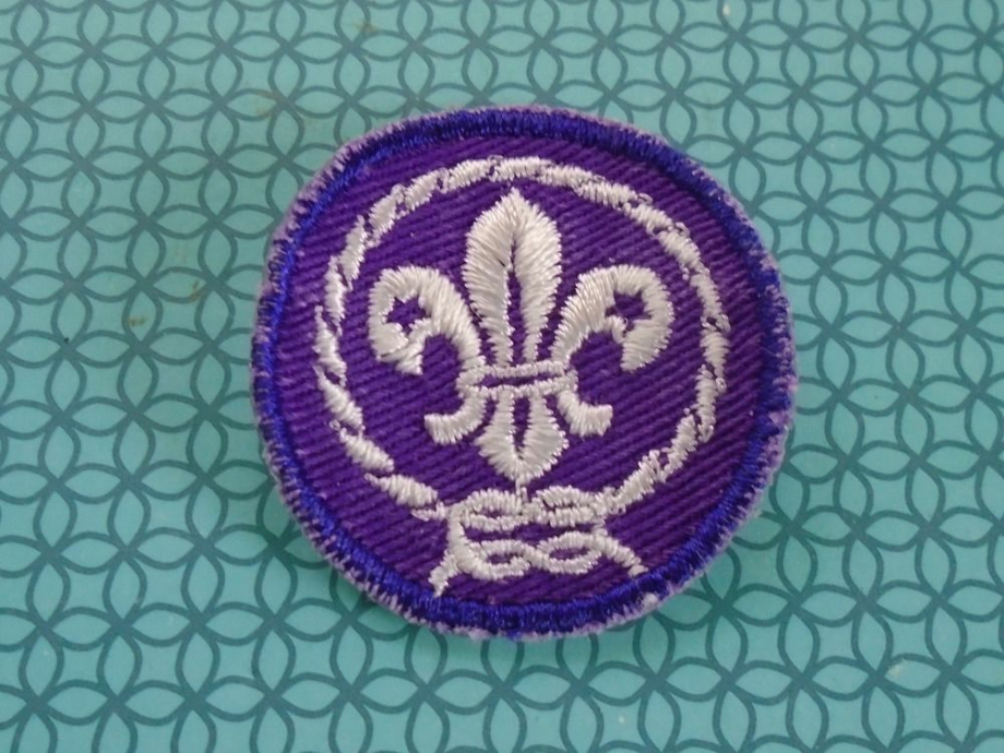 boy scouts logo purple