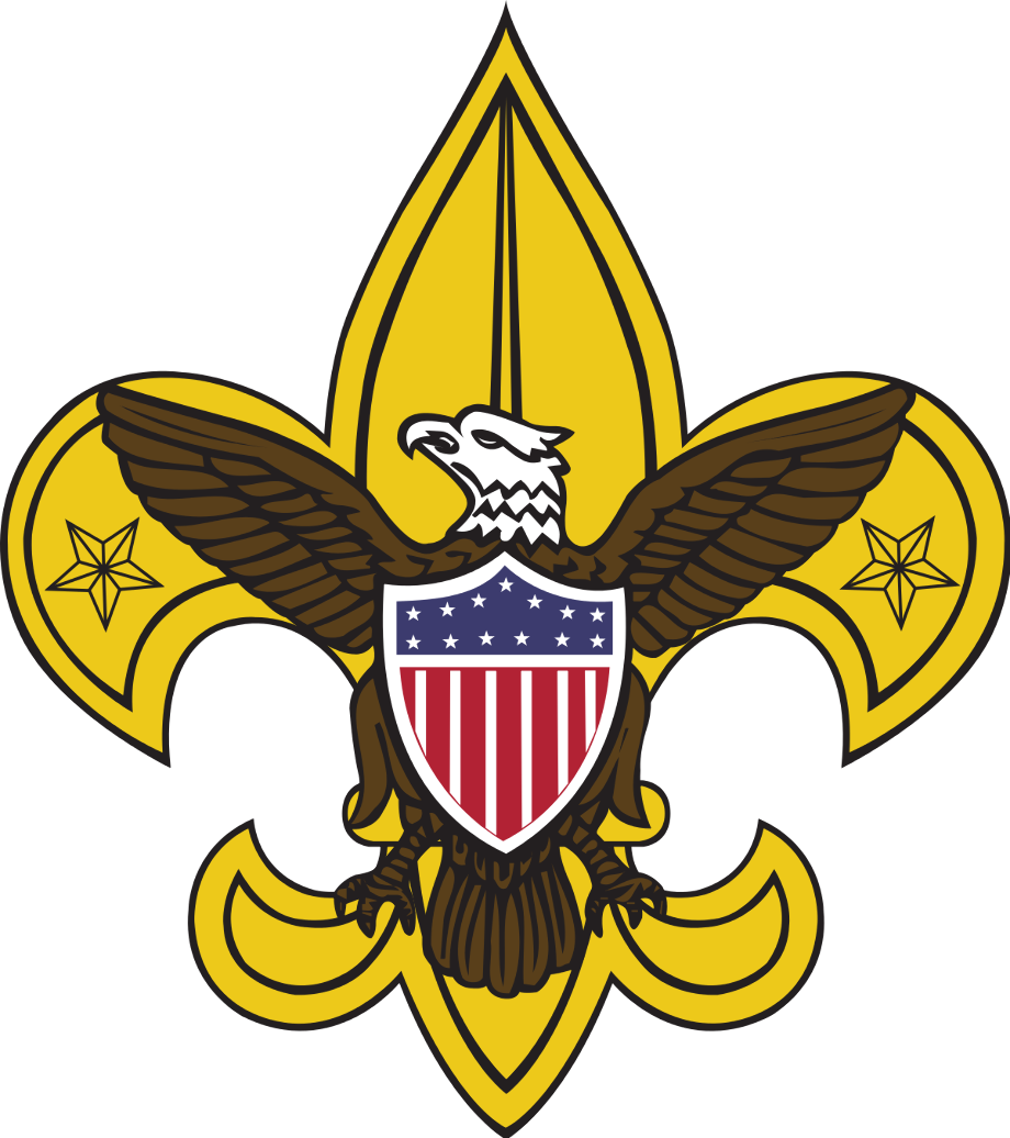 boy scouts logo usa
