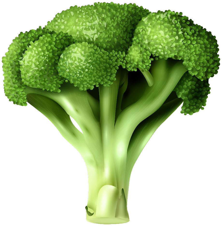 Download High Quality broccoli clipart Transparent PNG Images - Art
