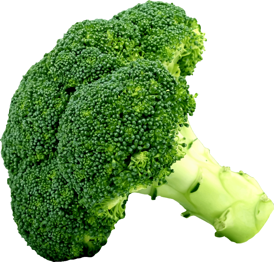 Download High Quality broccoli clipart real Transparent PNG Images