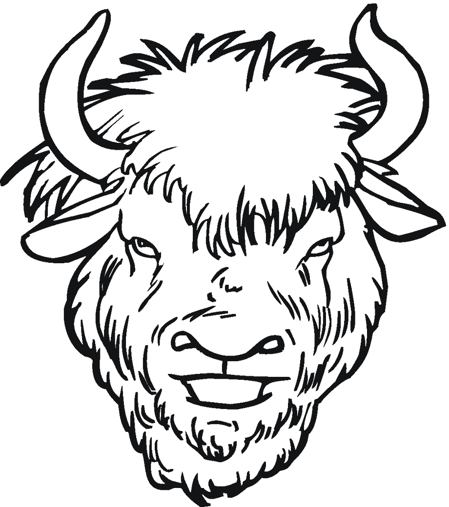 Download High Quality buffalo clipart bison head Transparent PNG Images ...