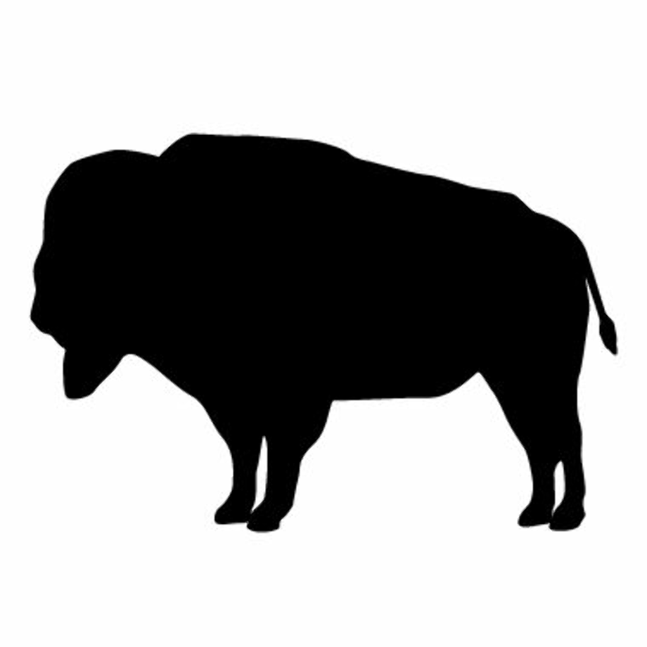 buffalo clipart easy