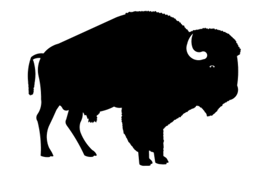 Sumber: clipartcraft.com. high quality buffalo clipart silhouette. 