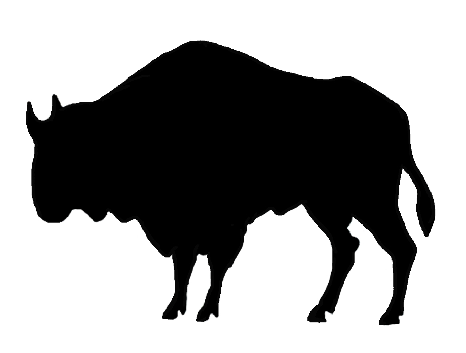 buffalo clipart simple