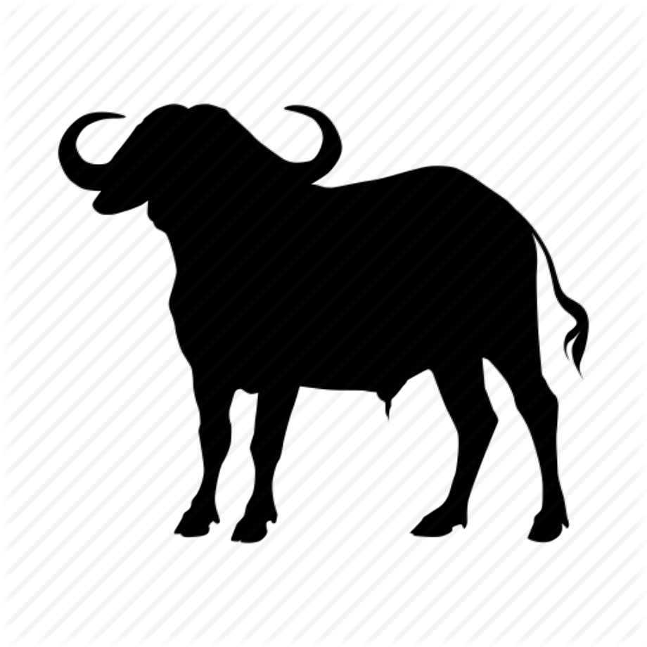 buffalo clipart transparent background