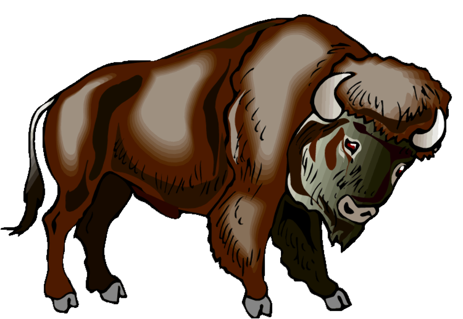 Download High Quality buffalo clipart bison head Transparent PNG Images