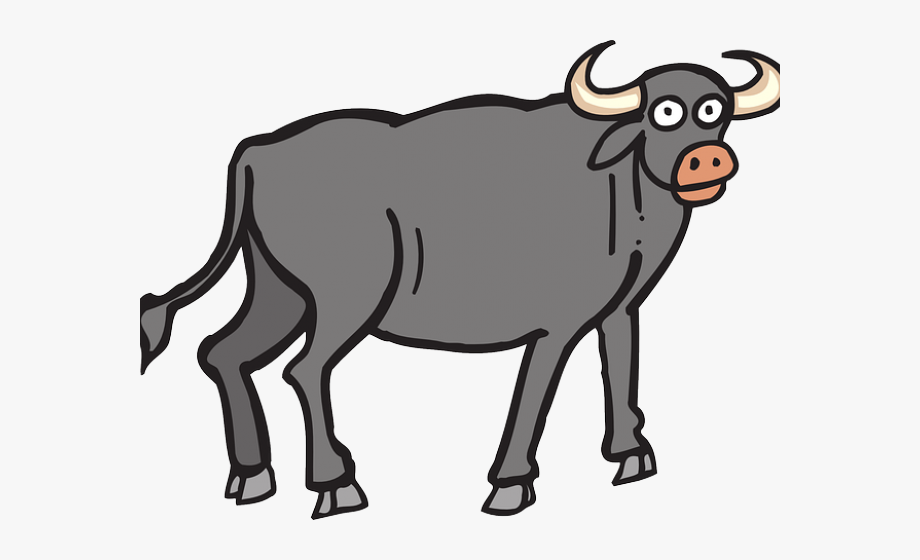buffalo clipart cow