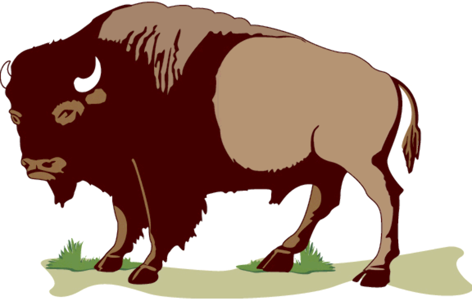 buffalo clipart running