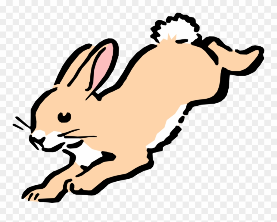 rabbit clipart jumping