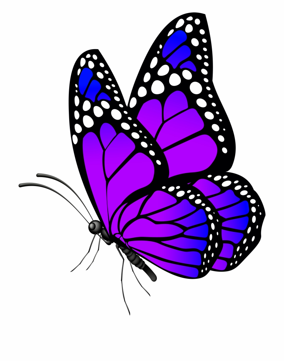 Download High Quality butterflies clipart purple Transparent PNG Images ...