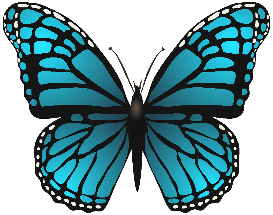download-high-quality-butterfly-clip-art-blue-transparent-png-images