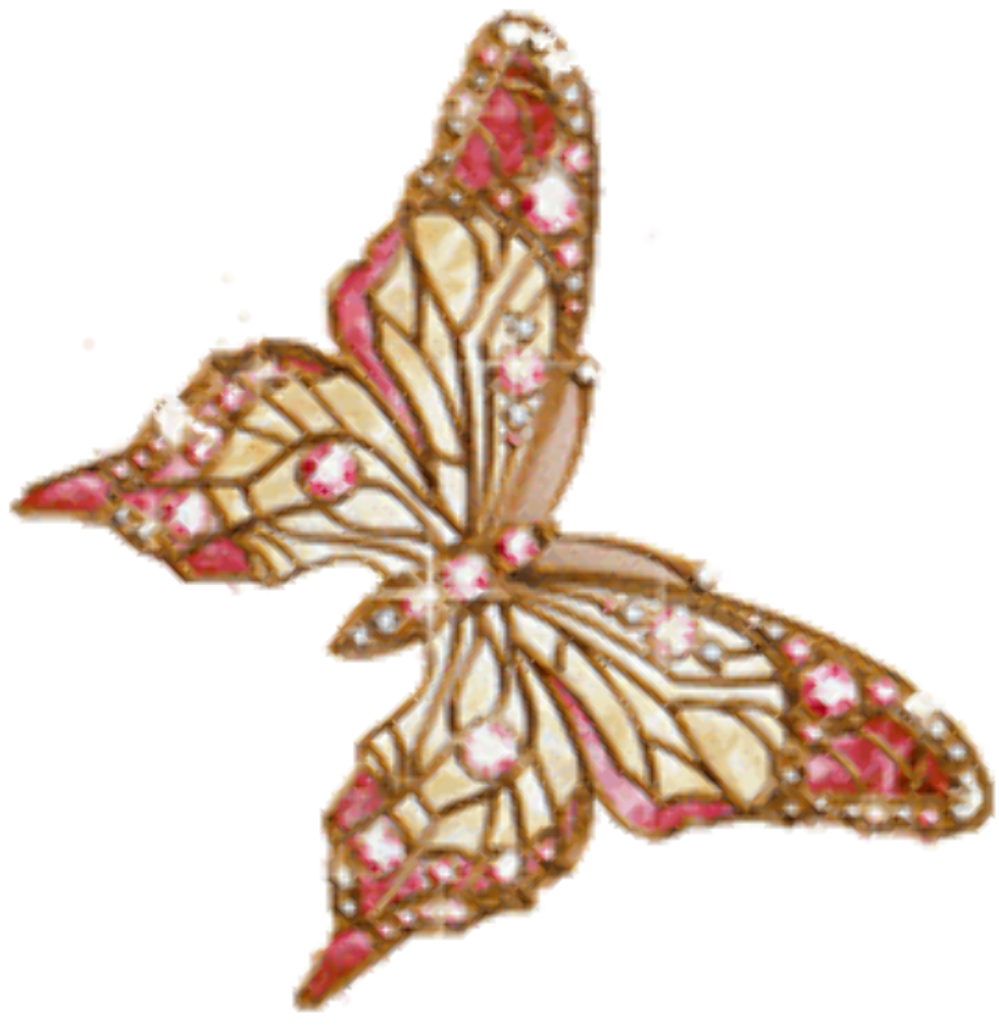 Download High Quality Butterfly Clipart Animation Transparent Png