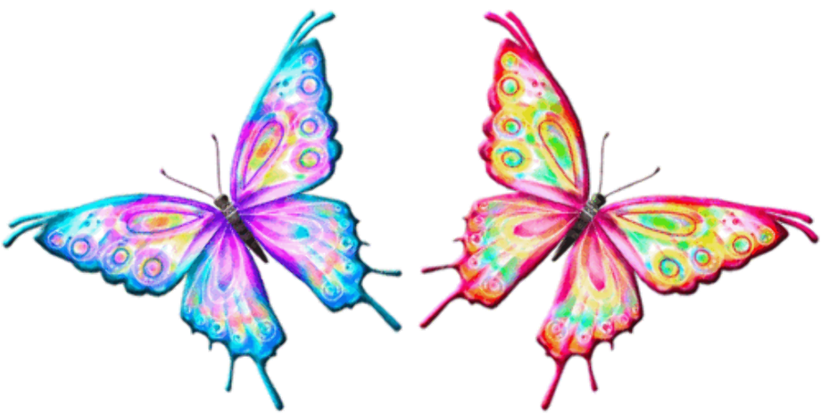 butterfly clipart animation