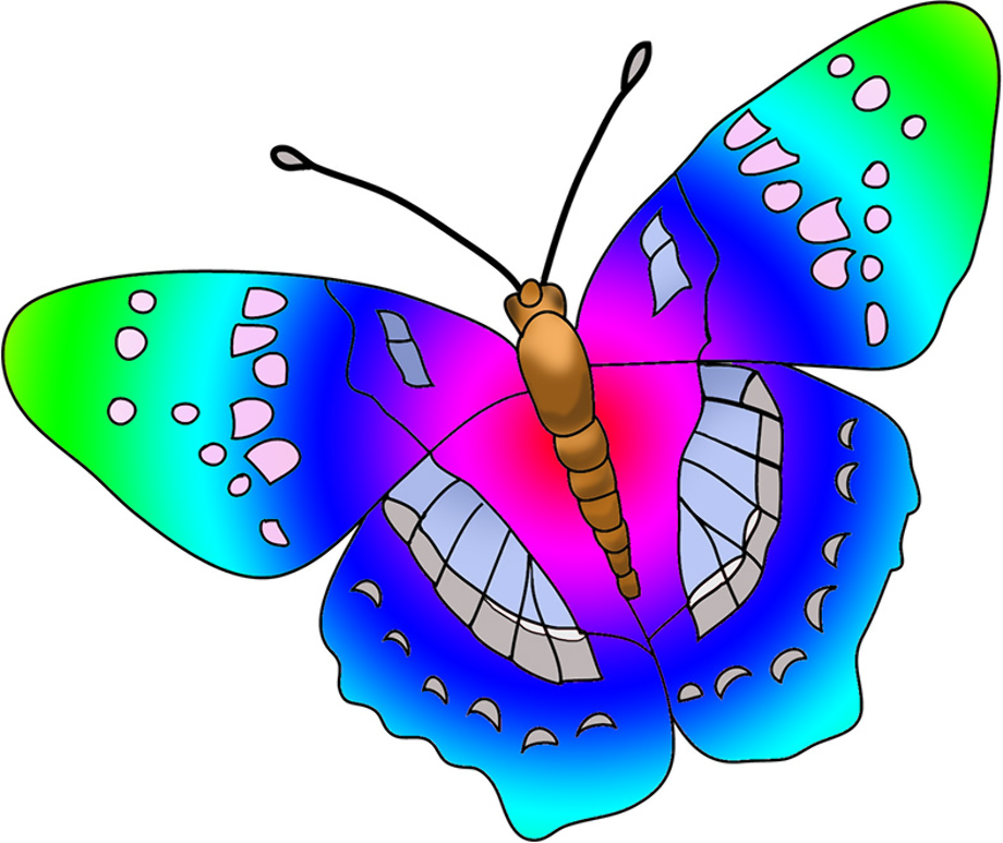 butterfly clip art colorful