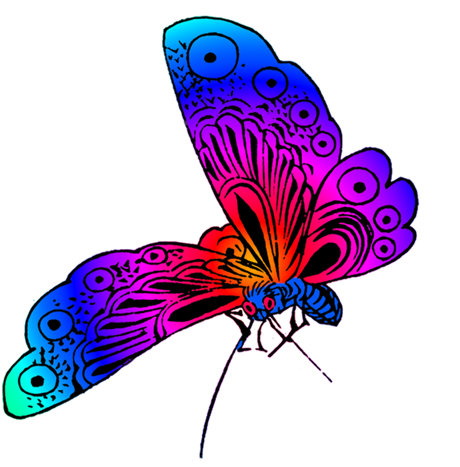 fly clipart different color