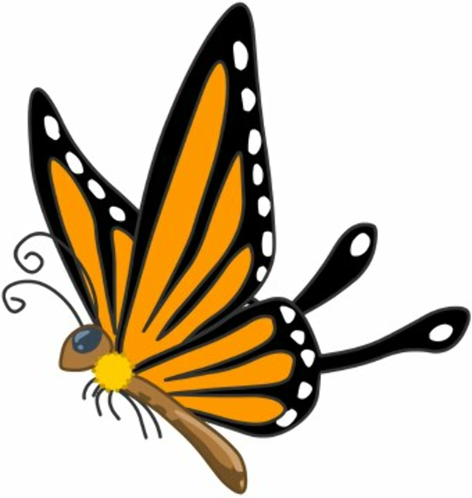 butterfly clipart flying