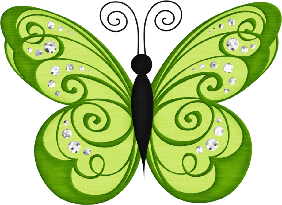 butterflies clipart green