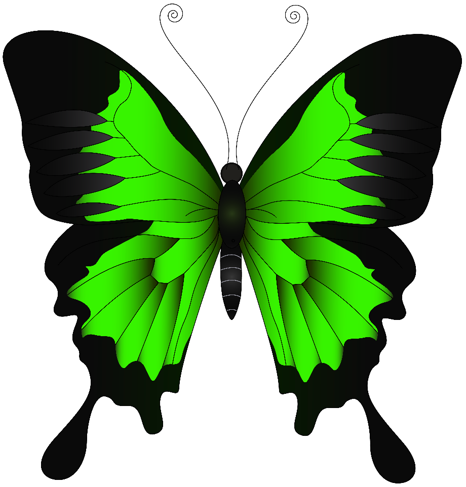 butterfly clip art green