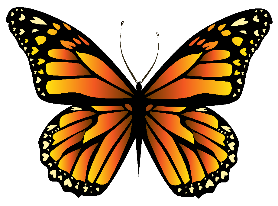 butterfly clip art orange