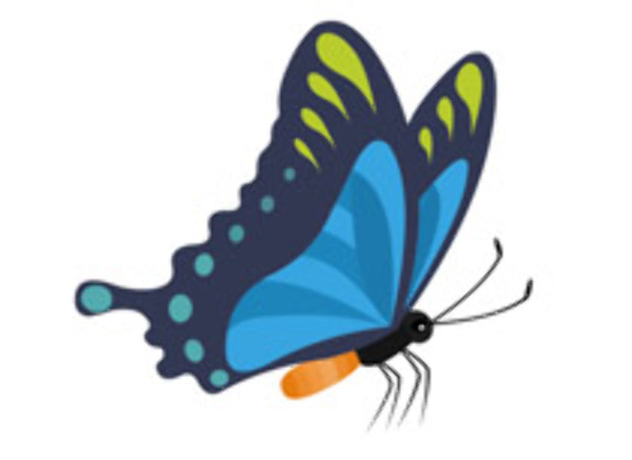 butterfly clipart side view