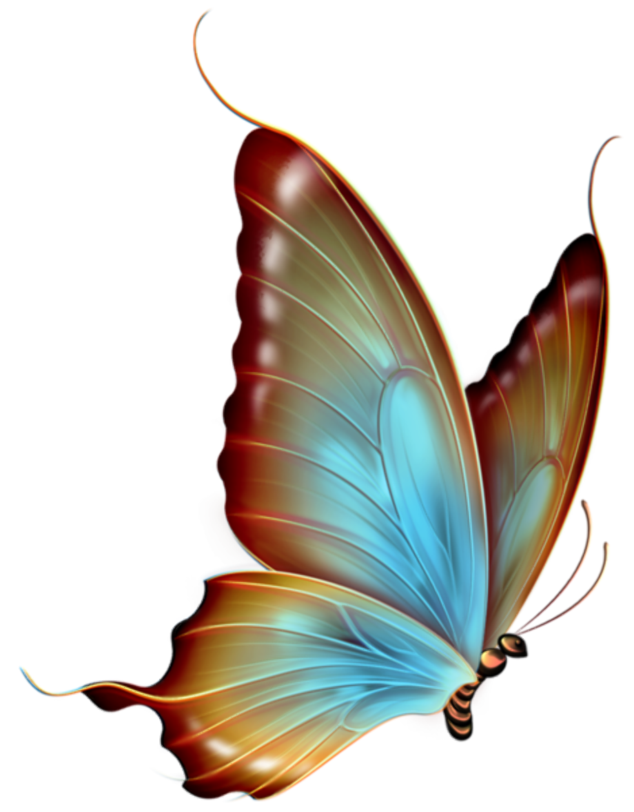 butterfly clip art transparent background