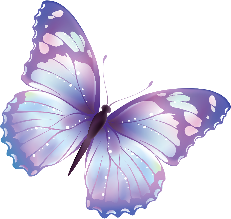 butterfly clip art beautiful