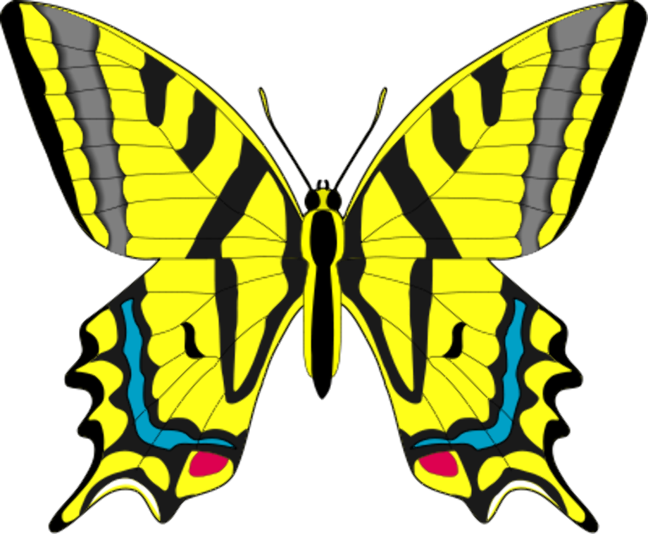 butterflies clipart yellow