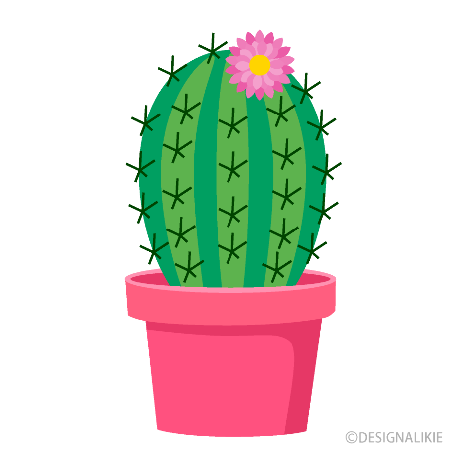 Download High Quality cactus clip art flower Transparent PNG Images