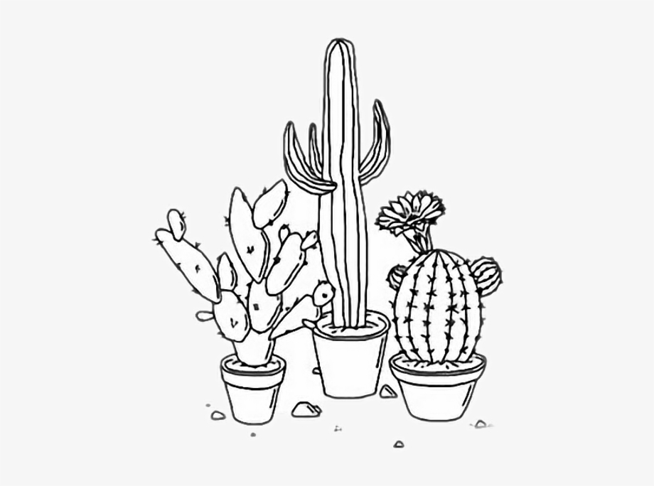 Download High Quality cactus clipart aesthetic Transparent PNG Images