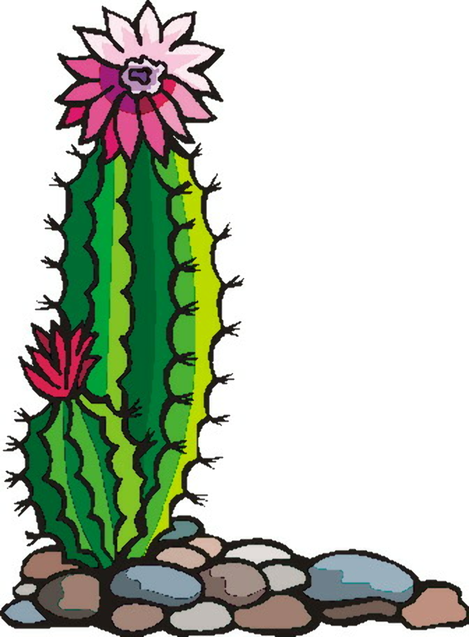 cactus clip art border